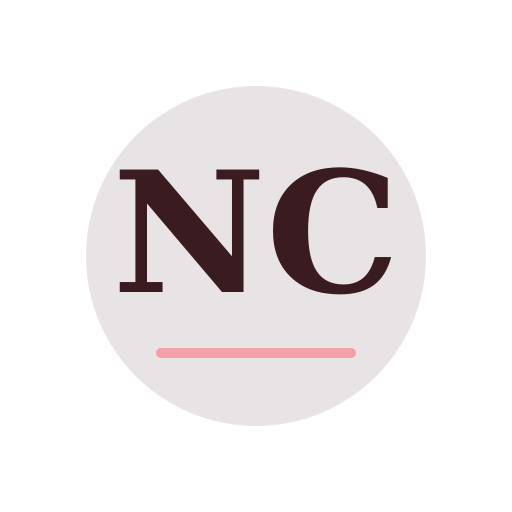 Nono Chimney Repair logo